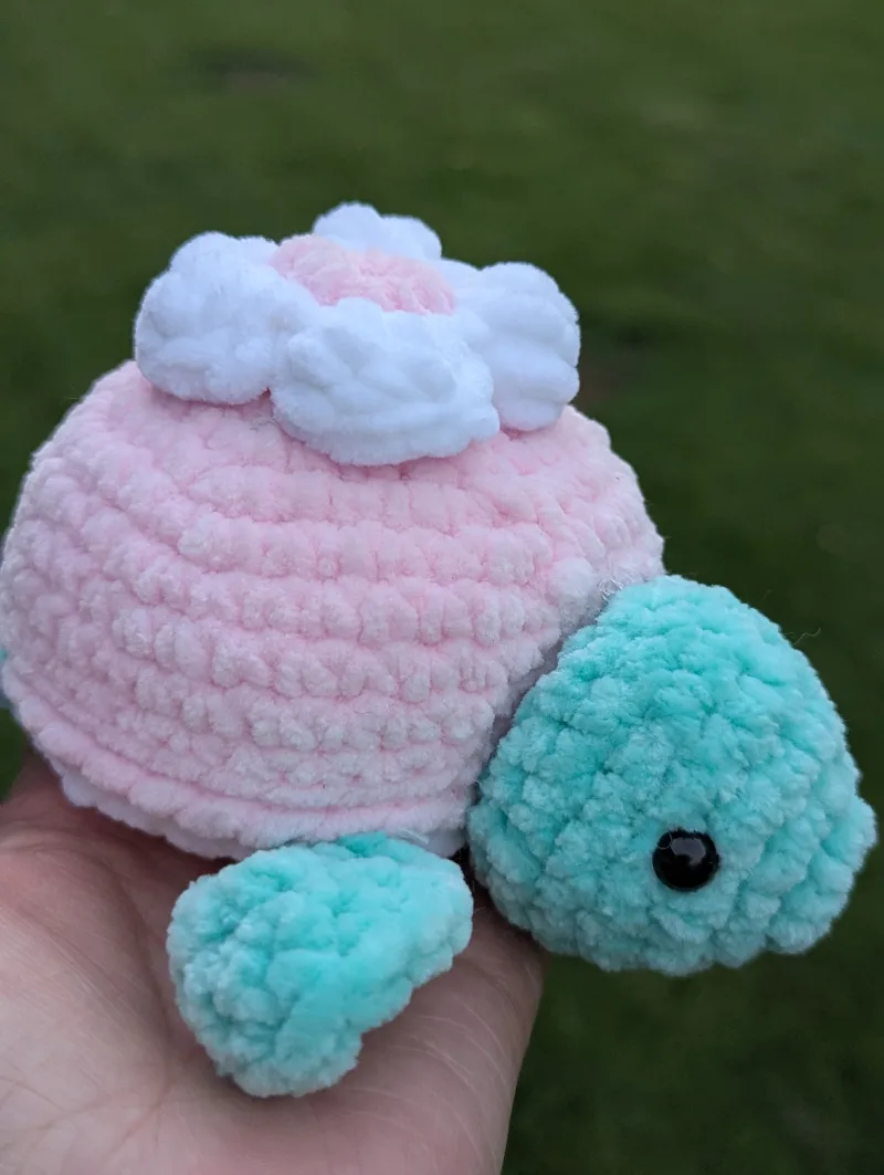 Cute Turtle 