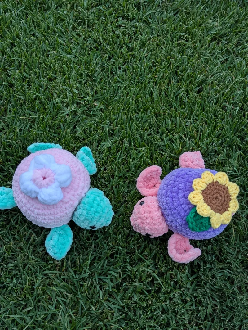 Cute Turtle 